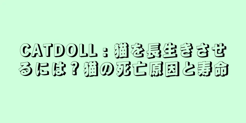 CATDOLL : 猫を長生きさせるには？猫の死亡原因と寿命