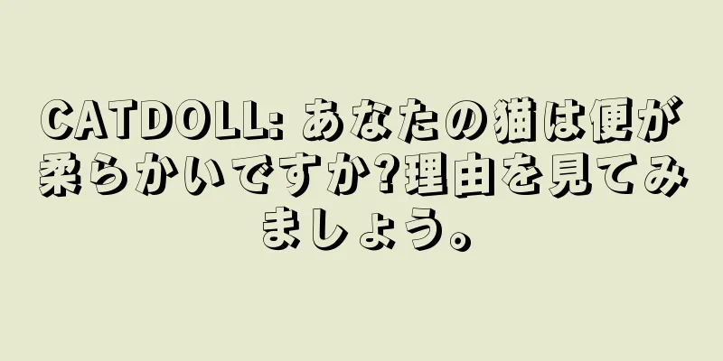 CATDOLL: あなたの猫は便が柔らかいですか?理由を見てみましょう。