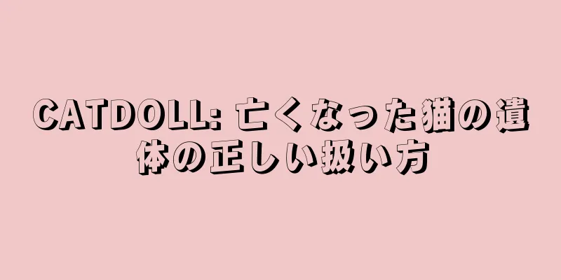 CATDOLL: 亡くなった猫の遺体の正しい扱い方