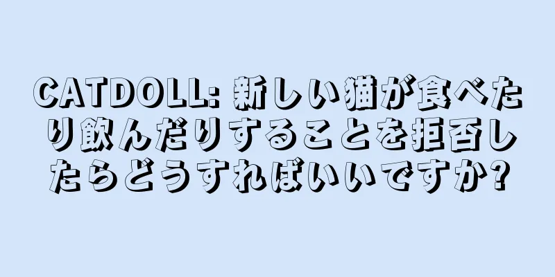 CATDOLL: 新しい猫が食べたり飲んだりすることを拒否したらどうすればいいですか?