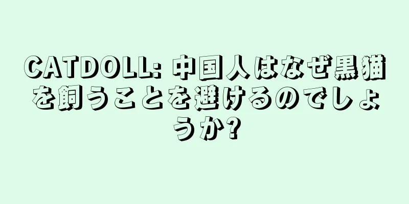 CATDOLL: 中国人はなぜ黒猫を飼うことを避けるのでしょうか?