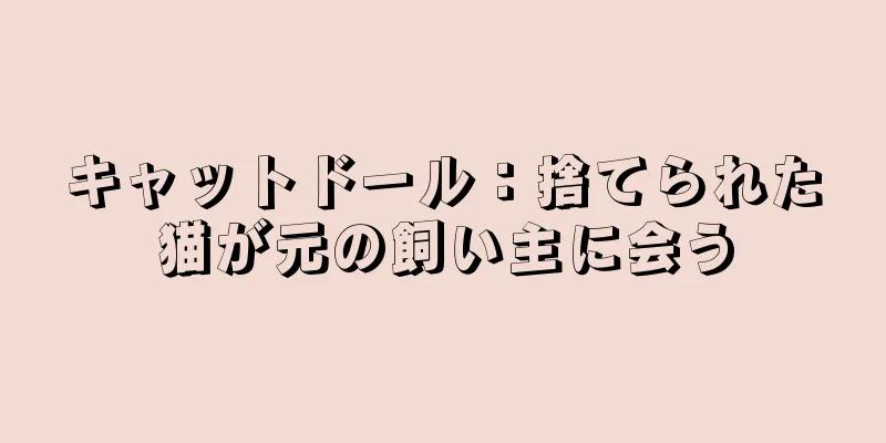 キャットドール：捨てられた猫が元の飼い主に会う