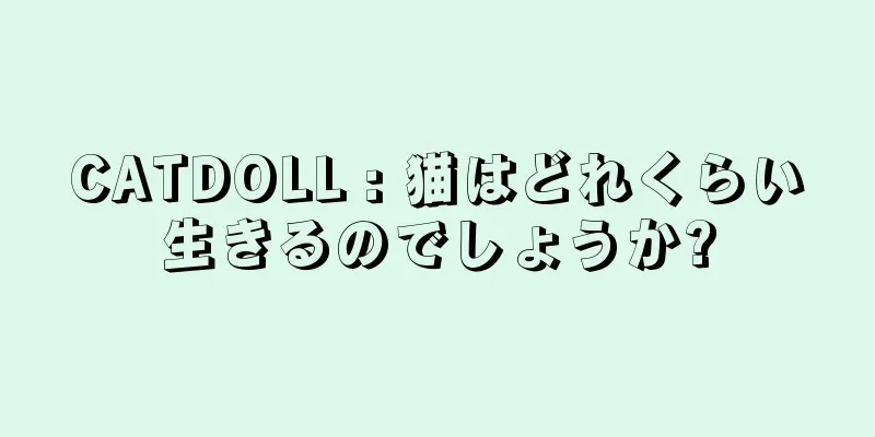 CATDOLL : 猫はどれくらい生きるのでしょうか?