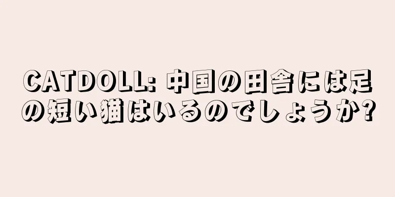 CATDOLL: 中国の田舎には足の短い猫はいるのでしょうか?