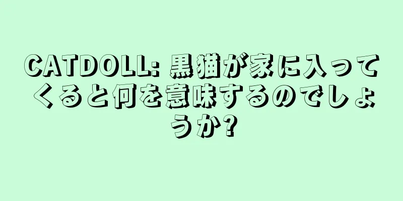 CATDOLL: 黒猫が家に入ってくると何を意味するのでしょうか?