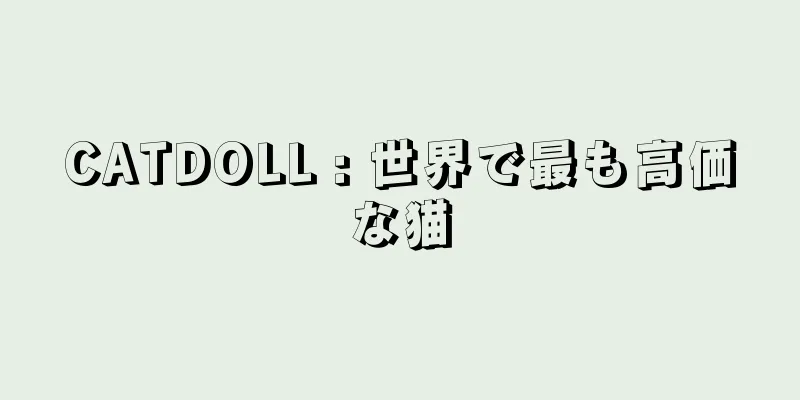 CATDOLL : 世界で最も高価な猫