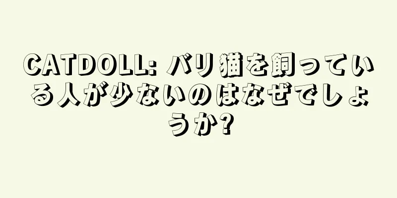 CATDOLL: バリ猫を飼っている人が少ないのはなぜでしょうか?