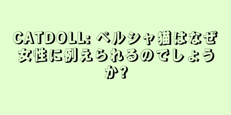 CATDOLL: ペルシャ猫はなぜ女性に例えられるのでしょうか?
