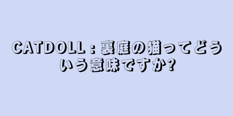 CATDOLL : 裏庭の猫ってどういう意味ですか?