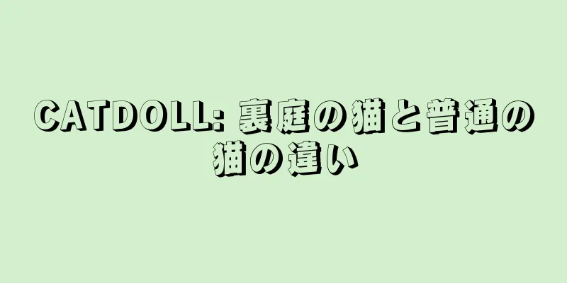 CATDOLL: 裏庭の猫と普通の猫の違い