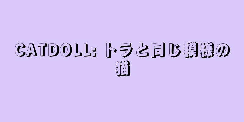 CATDOLL: トラと同じ模様の猫