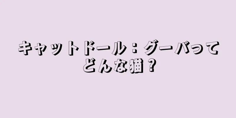 キャットドール：グーバってどんな猫？