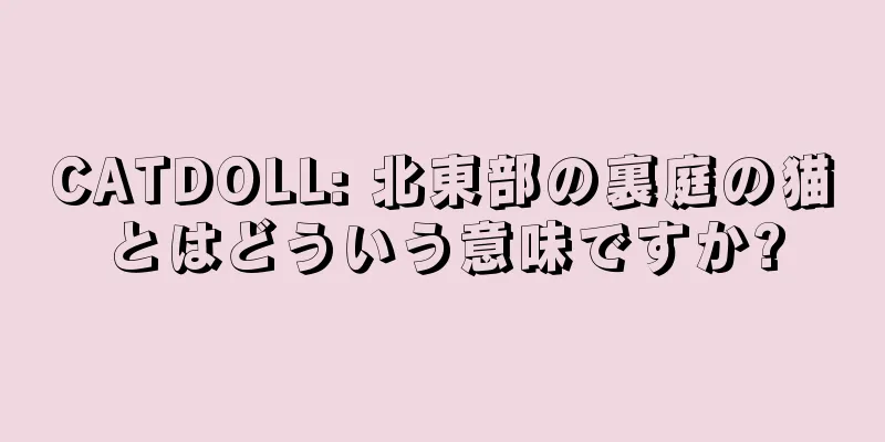 CATDOLL: 北東部の裏庭の猫とはどういう意味ですか?