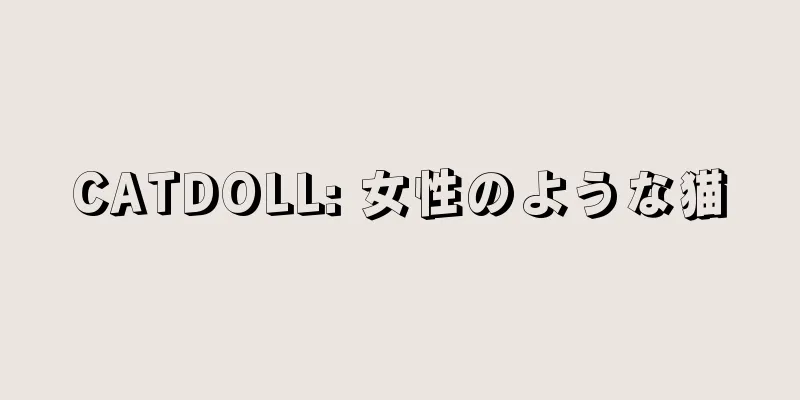 CATDOLL: 女性のような猫