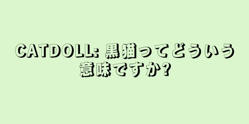 CATDOLL: 黒猫ってどういう意味ですか?