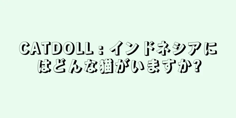 CATDOLL : インドネシアにはどんな猫がいますか?