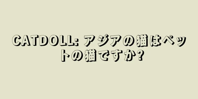 CATDOLL: アジアの猫はペットの猫ですか?