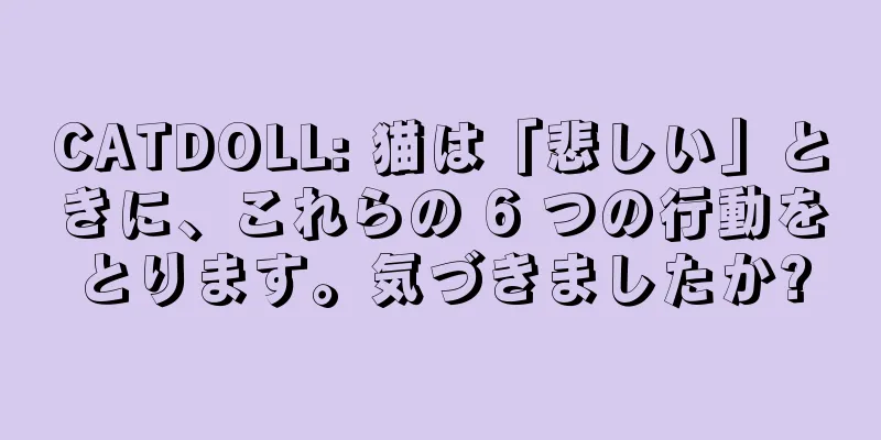CATDOLL: 猫は「悲しい」ときに、これらの 6 つの行動をとります。気づきましたか?