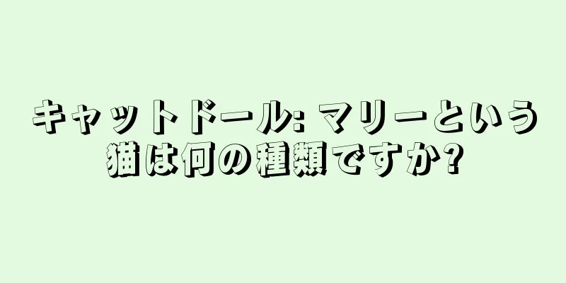 キャットドール: マリーという猫は何の種類ですか?