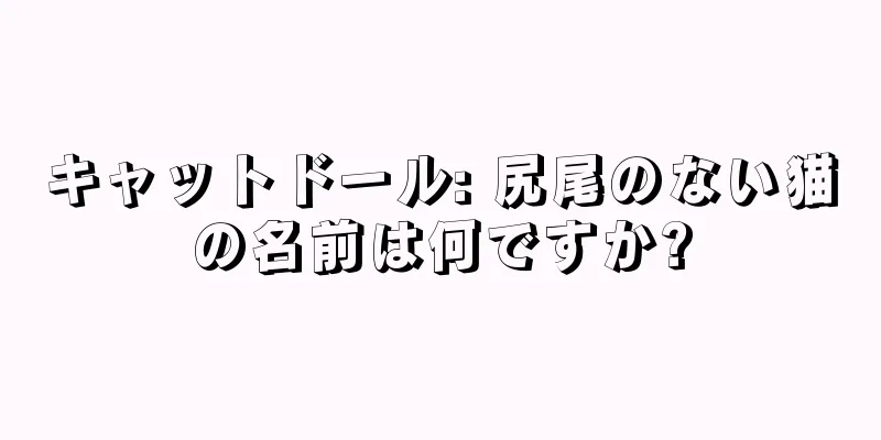 キャットドール: 尻尾のない猫の名前は何ですか?