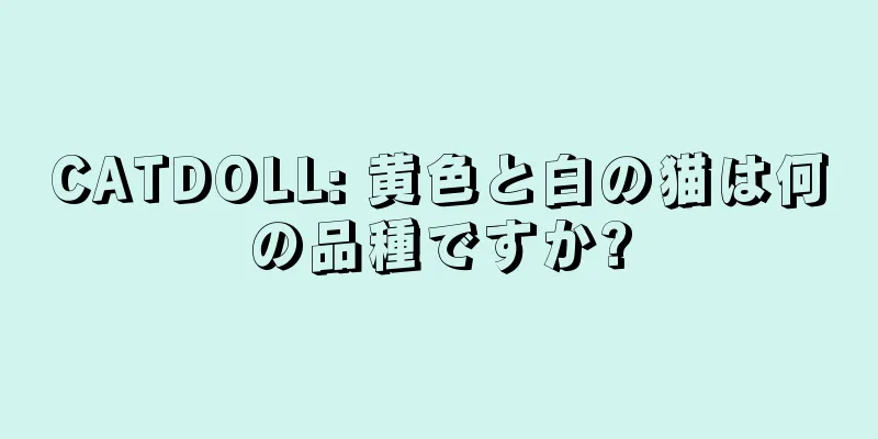 CATDOLL: 黄色と白の猫は何の品種ですか?
