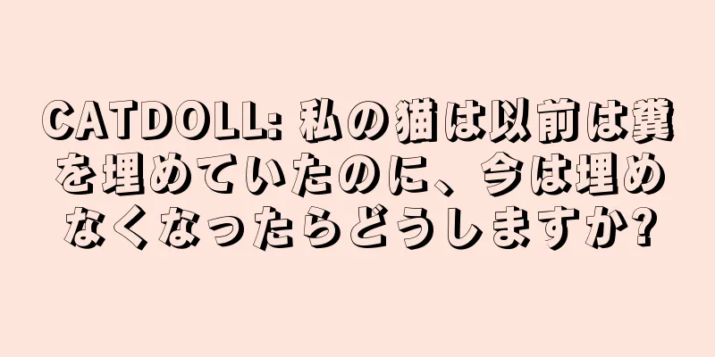 CATDOLL: 私の猫は以前は糞を埋めていたのに、今は埋めなくなったらどうしますか?