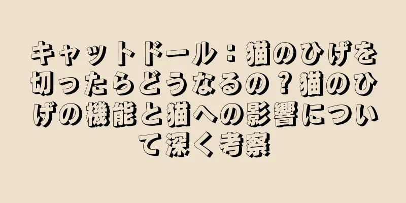 キャットドール：猫のひげを切ったらどうなるの？猫のひげの機能と猫への影響について深く考察