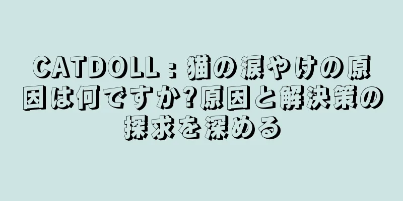 CATDOLL : 猫の涙やけの原因は何ですか?原因と解決策の探求を深める