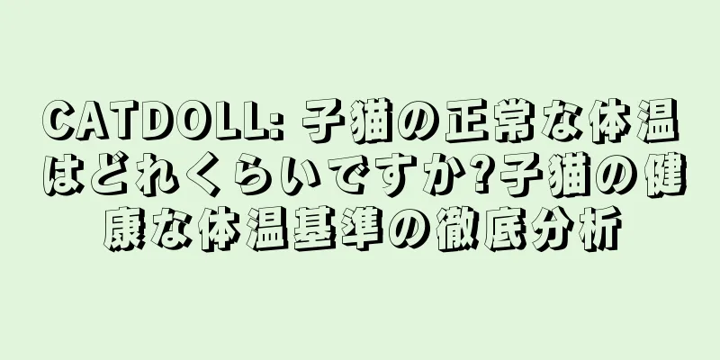 CATDOLL: 子猫の正常な体温はどれくらいですか?子猫の健康な体温基準の徹底分析