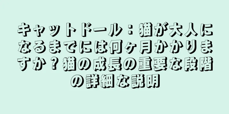 キャットドール：猫が大人になるまでには何ヶ月かかりますか？猫の成長の重要な段階の詳細な説明