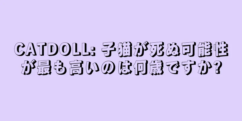 CATDOLL: 子猫が死ぬ可能性が最も高いのは何歳ですか?