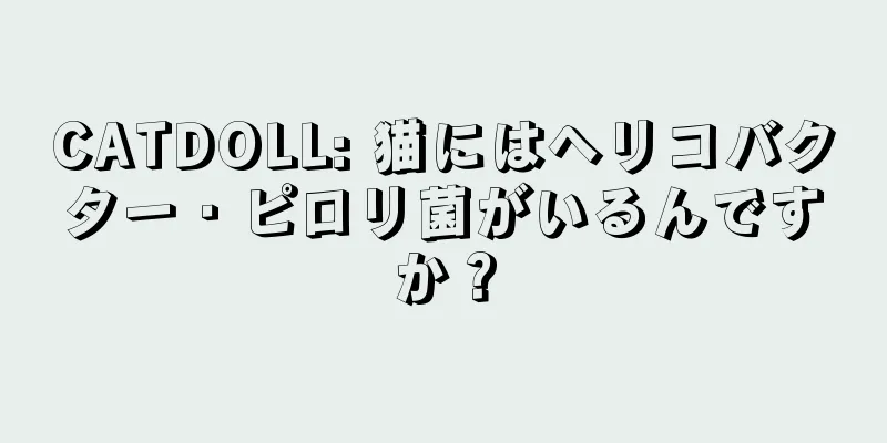 CATDOLL: 猫にはヘリコバクター・ピロリ菌がいるんですか？