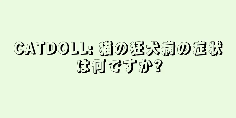 CATDOLL: 猫の狂犬病の症状は何ですか?