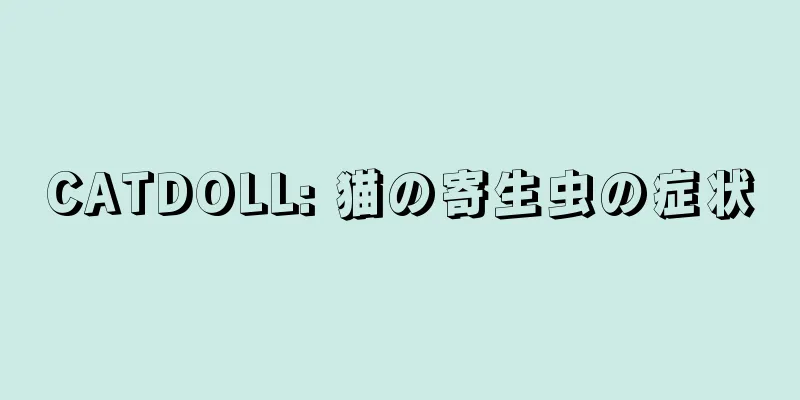 CATDOLL: 猫の寄生虫の症状