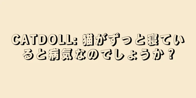 CATDOLL: 猫がずっと寝ていると病気なのでしょうか？