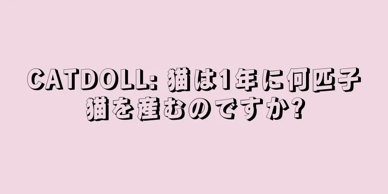 CATDOLL: 猫は1年に何匹子猫を産むのですか?
