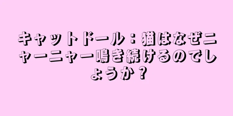 キャットドール：猫はなぜニャーニャー鳴き続けるのでしょうか？