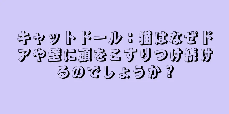 キャットドール：猫はなぜドアや壁に頭をこすりつけ続けるのでしょうか？