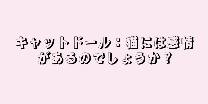 キャットドール：猫には感情があるのでしょうか？
