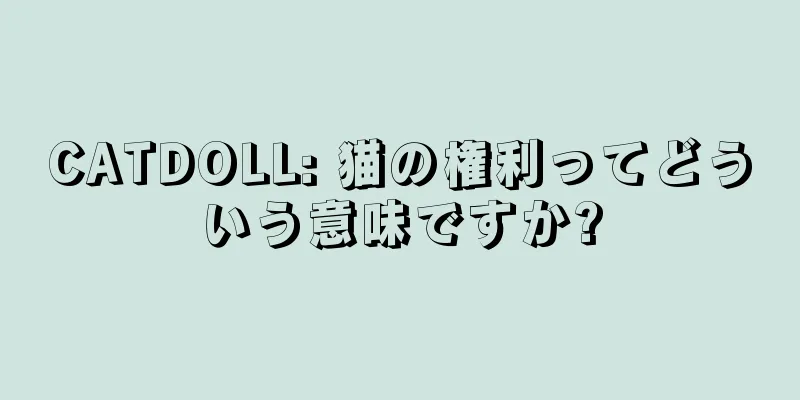 CATDOLL: 猫の権利ってどういう意味ですか?