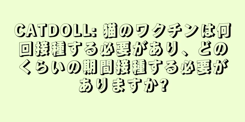 CATDOLL: 猫のワクチンは何回接種する必要があり、どのくらいの期間接種する必要がありますか?