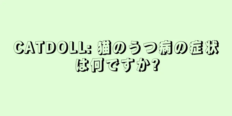 CATDOLL: 猫のうつ病の症状は何ですか?