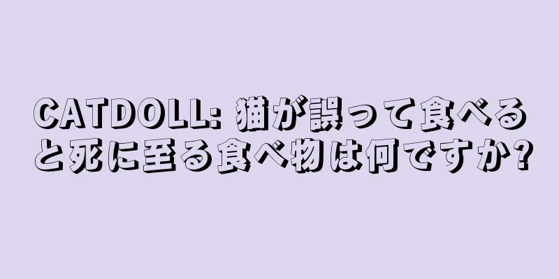 CATDOLL: 猫が誤って食べると死に至る食べ物は何ですか?
