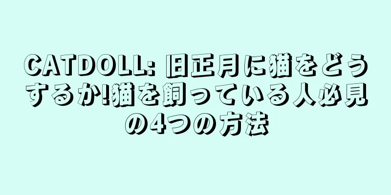 CATDOLL: 旧正月に猫をどうするか!猫を飼っている人必見の4つの方法