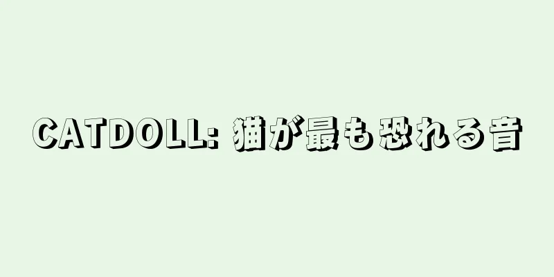 CATDOLL: 猫が最も恐れる音