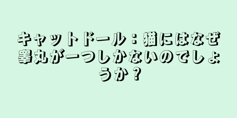 キャットドール：猫にはなぜ睾丸が一つしかないのでしょうか？
