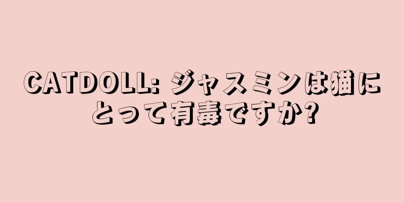 CATDOLL: ジャスミンは猫にとって有毒ですか?