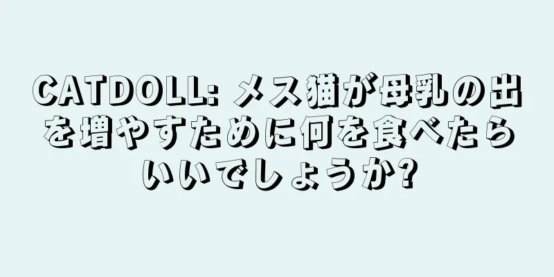 CATDOLL: メス猫が母乳の出を増やすために何を食べたらいいでしょうか?