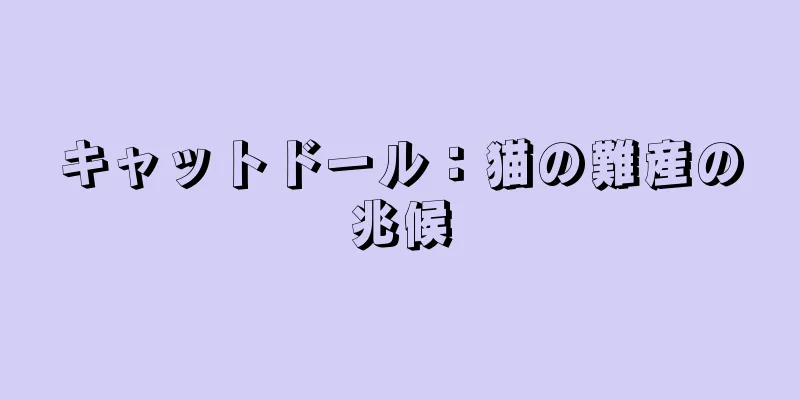 キャットドール：猫の難産の兆候