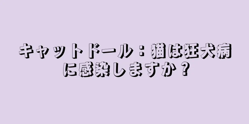 キャットドール：猫は狂犬病に感染しますか？